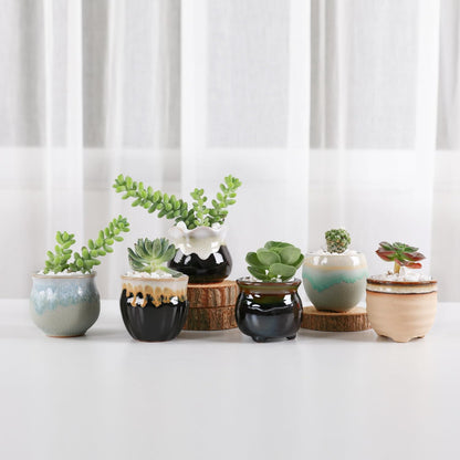 Mini Ceramic Succulent Pots, Small Gift Planters, Retro Decor Set of 6