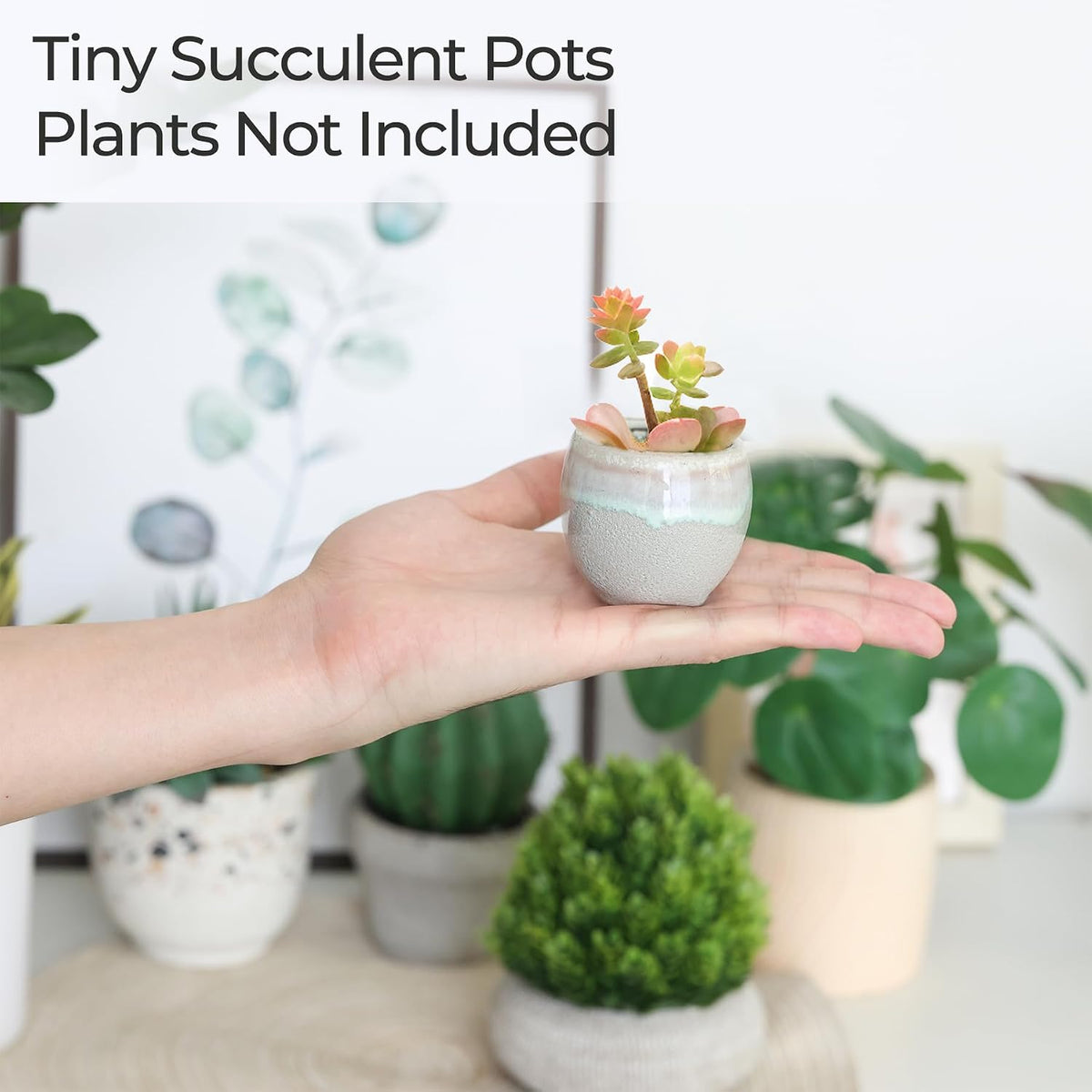 Mini Ceramic Succulent Pots, Small Gift Planters, Retro Decor Set of 6