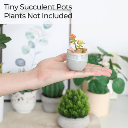 Mini Ceramic Succulent Pots, Small Gift Planters, Retro Decor Set of 6