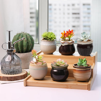 Mini Ceramic Succulent Pots, Small Gift Planters, Retro Decor Set of 6