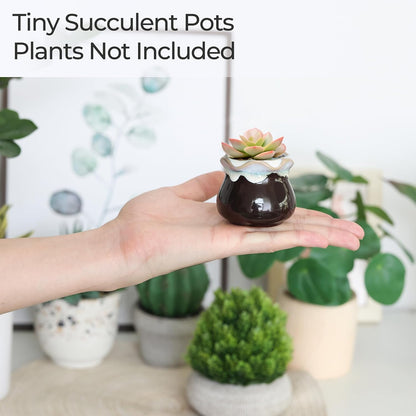 Mini Ceramic Succulent Pots, Small Gift Planters, Retro Decor Set of 6