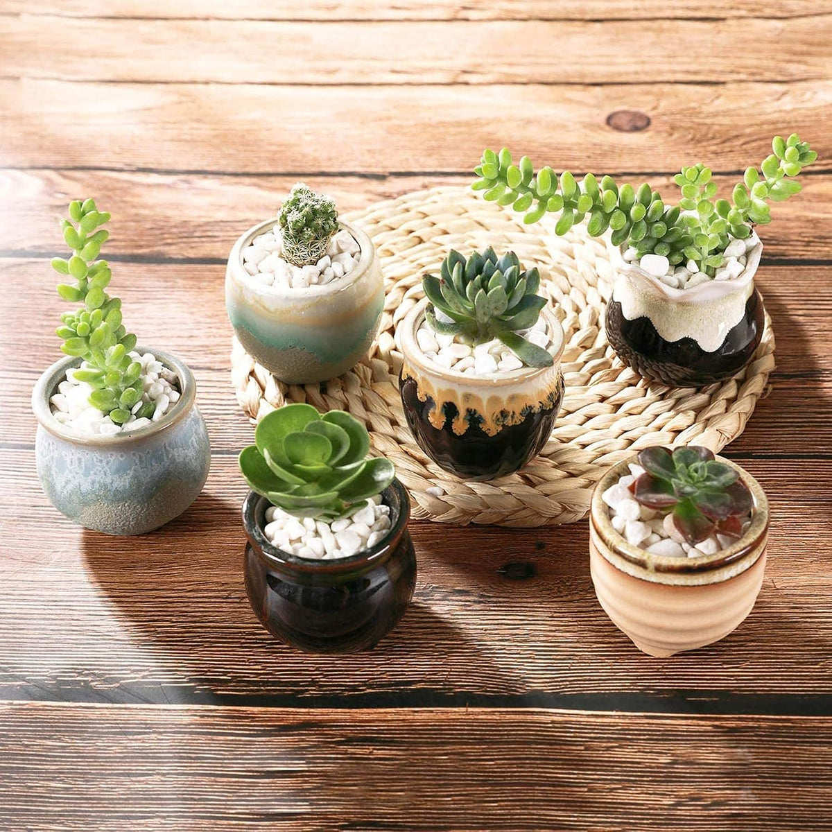Mini Ceramic Succulent Pots, Small Gift Planters, Retro Decor Set of 6