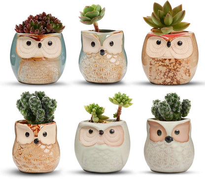 Mini Ceramic Succulent Pots, Small Gift Planters, Retro Decor Set of 6