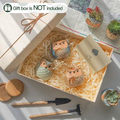 Mini Ceramic Succulent Pots, Small Gift Planters, Retro Decor Set of 6