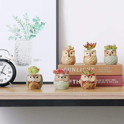 Mini Ceramic Succulent Pots, Small Gift Planters, Retro Decor Set of 6