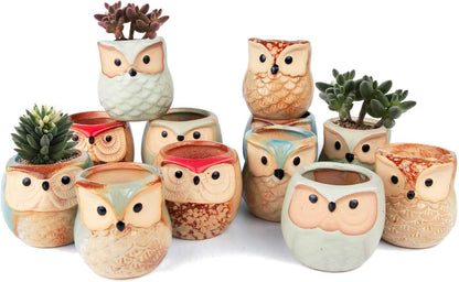 Mini Ceramic Succulent Pots, Small Gift Planters, Retro Decor Set of 6