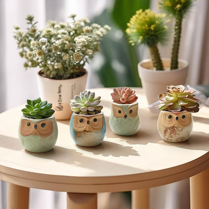 Mini Ceramic Succulent Pots, Small Gift Planters, Retro Decor Set of 6