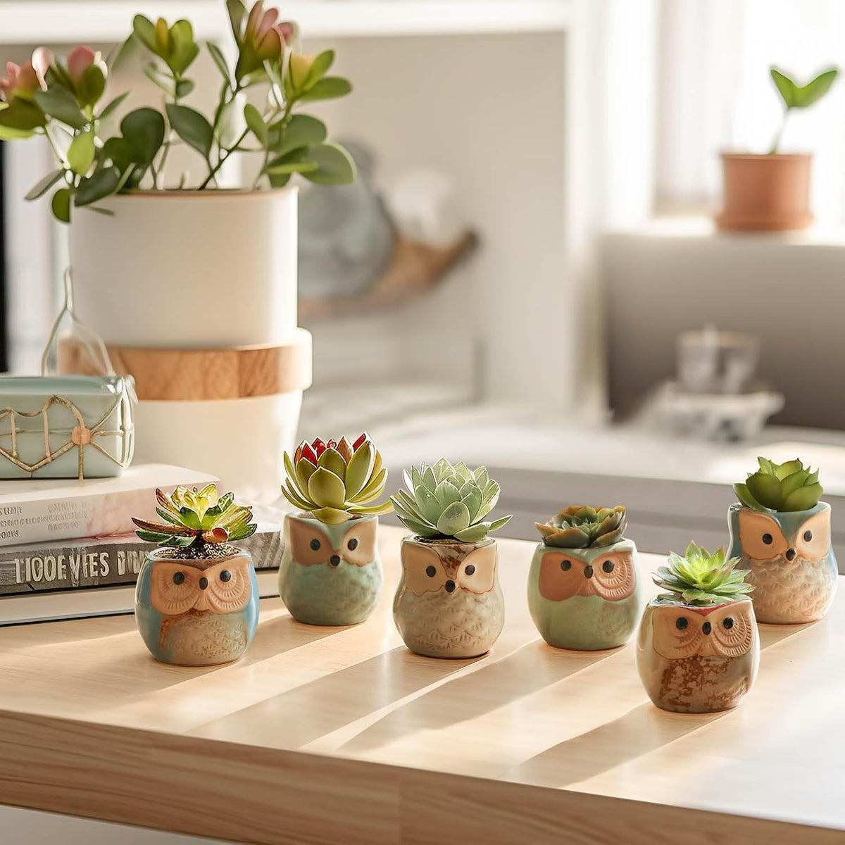 Mini Ceramic Succulent Pots, Small Gift Planters, Retro Decor Set of 6