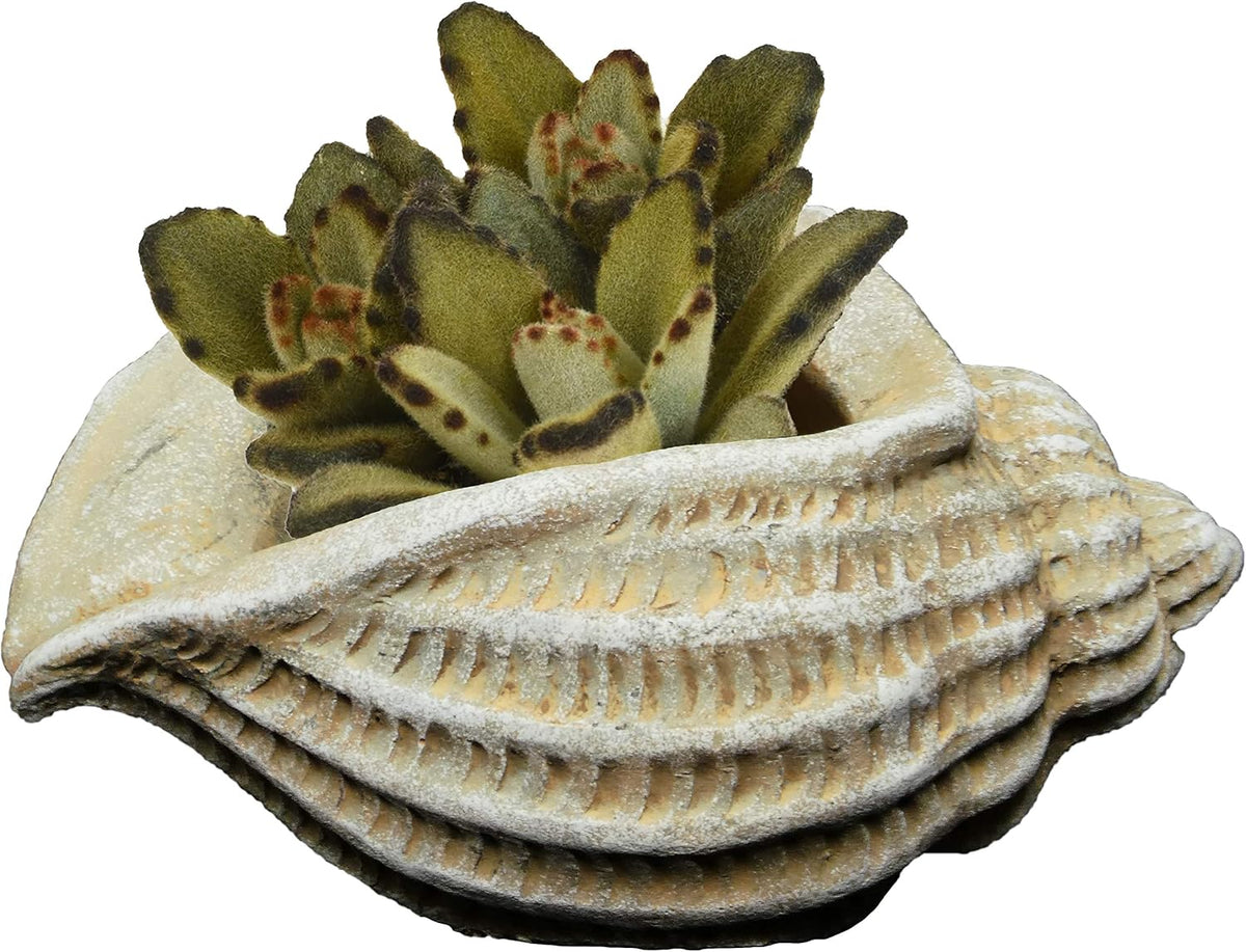 Cement Buddies Animal Planter - Cute Desk Decoration - UV Coated Animal Vase w/Removable Drain Plug -Succulent Planter for Indoor/Outdoor Use (Largemouth Bass, Bronze, Small)