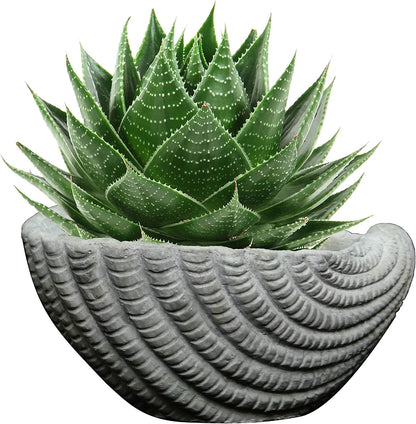 Cement Buddies Animal Planter - Cute Desk Decoration - UV Coated Animal Vase w/Removable Drain Plug -Succulent Planter for Indoor/Outdoor Use (Largemouth Bass, Bronze, Small)