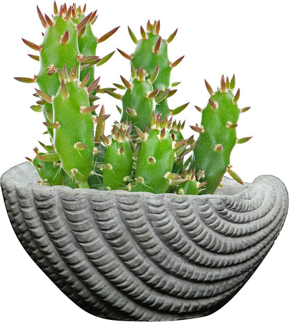 Cement Buddies Animal Planter - Cute Desk Decoration - UV Coated Animal Vase w/Removable Drain Plug -Succulent Planter for Indoor/Outdoor Use (Largemouth Bass, Bronze, Small)