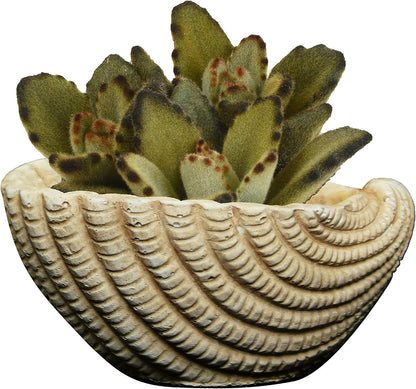 Cement Buddies Animal Planter - Cute Desk Decoration - UV Coated Animal Vase w/Removable Drain Plug -Succulent Planter for Indoor/Outdoor Use (Largemouth Bass, Bronze, Small)