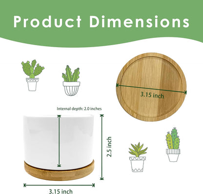God Says You are Christian Plant Pots Succulent Planters