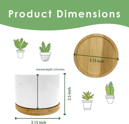God Says You are Christian Plant Pots Succulent Planters