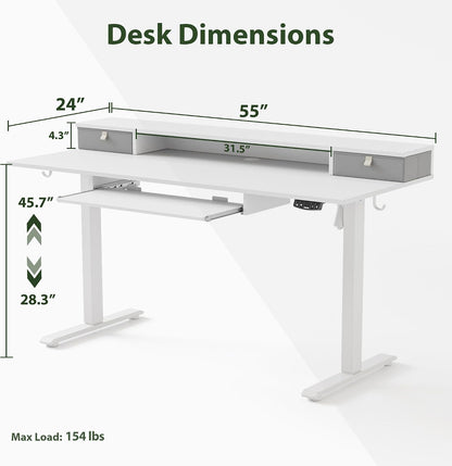 48 * 24 Inch Electric Standing Desk with Shelf & Led, Dark Walnut