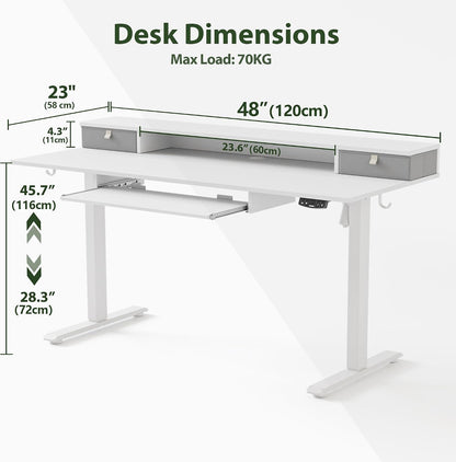 48 * 24 Inch Electric Standing Desk with Shelf & Led, Dark Walnut