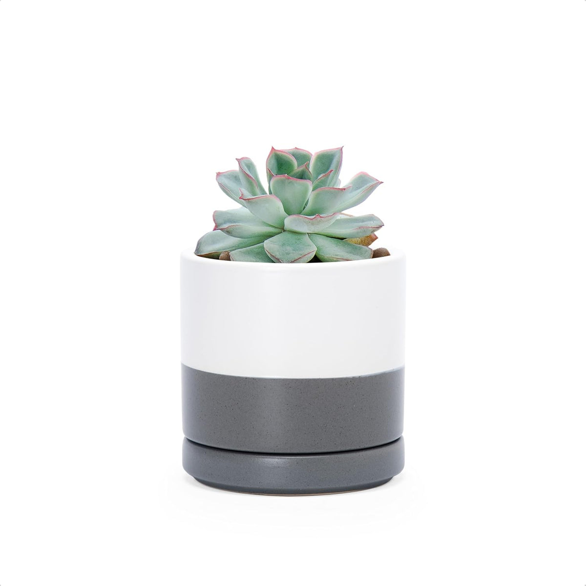 D'vine Dev 4.7 Inch Ceramic Planter Pot with Drainage Hole and Saucer, Indoor Cylinder Round Planter Pot, Teal, 94-O-B-9