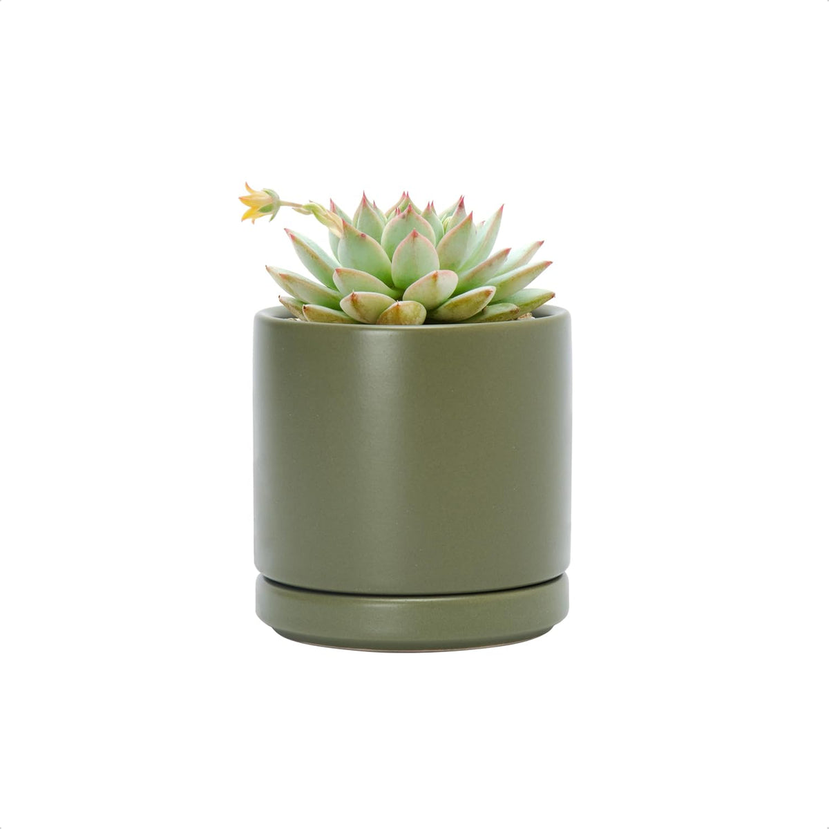 D'vine Dev 4.7 Inch Ceramic Planter Pot with Drainage Hole and Saucer, Indoor Cylinder Round Planter Pot, Teal, 94-O-B-9