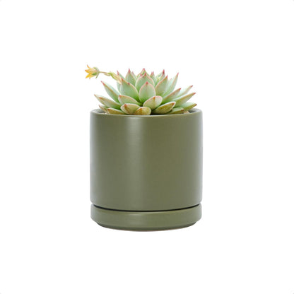 D'vine Dev 4.7 Inch Ceramic Planter Pot with Drainage Hole and Saucer, Indoor Cylinder Round Planter Pot, Teal, 94-O-B-9