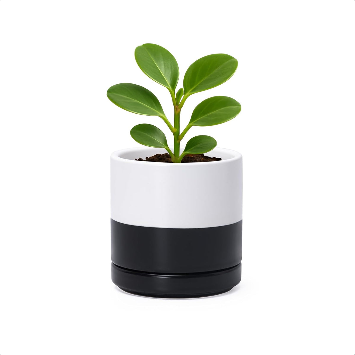 D'vine Dev 4.7 Inch Ceramic Planter Pot with Drainage Hole and Saucer, Indoor Cylinder Round Planter Pot, Teal, 94-O-B-9