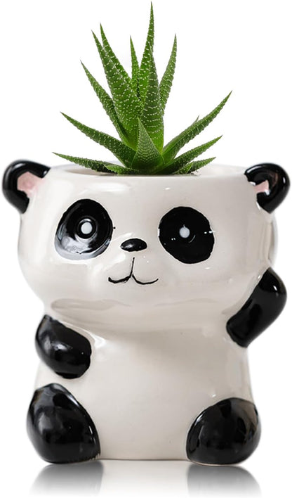 DIYOMR Cute Animals Planter, Mini Ceramic Cartoon Animal Shaped Succulent Flower Pot Indoor Air Plants Holder, Smooth Shiny Decorative Flower Cactus Planter - Plants Not Included (Panda)