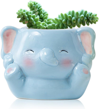 DIYOMR Cute Animals Planter, Mini Ceramic Cartoon Animal Shaped Succulent Flower Pot Indoor Air Plants Holder, Smooth Shiny Decorative Flower Cactus Planter - Plants Not Included (Panda)