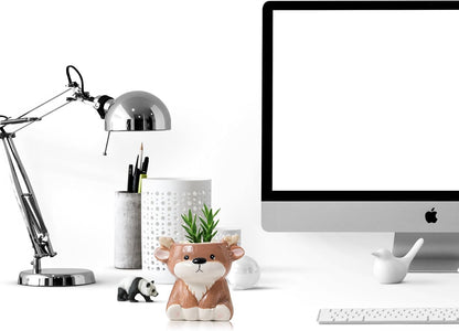 DIYOMR Cute Animals Planter, Mini Ceramic Cartoon Animal Shaped Succulent Flower Pot Indoor Air Plants Holder, Smooth Shiny Decorative Flower Cactus Planter - Plants Not Included (Panda)