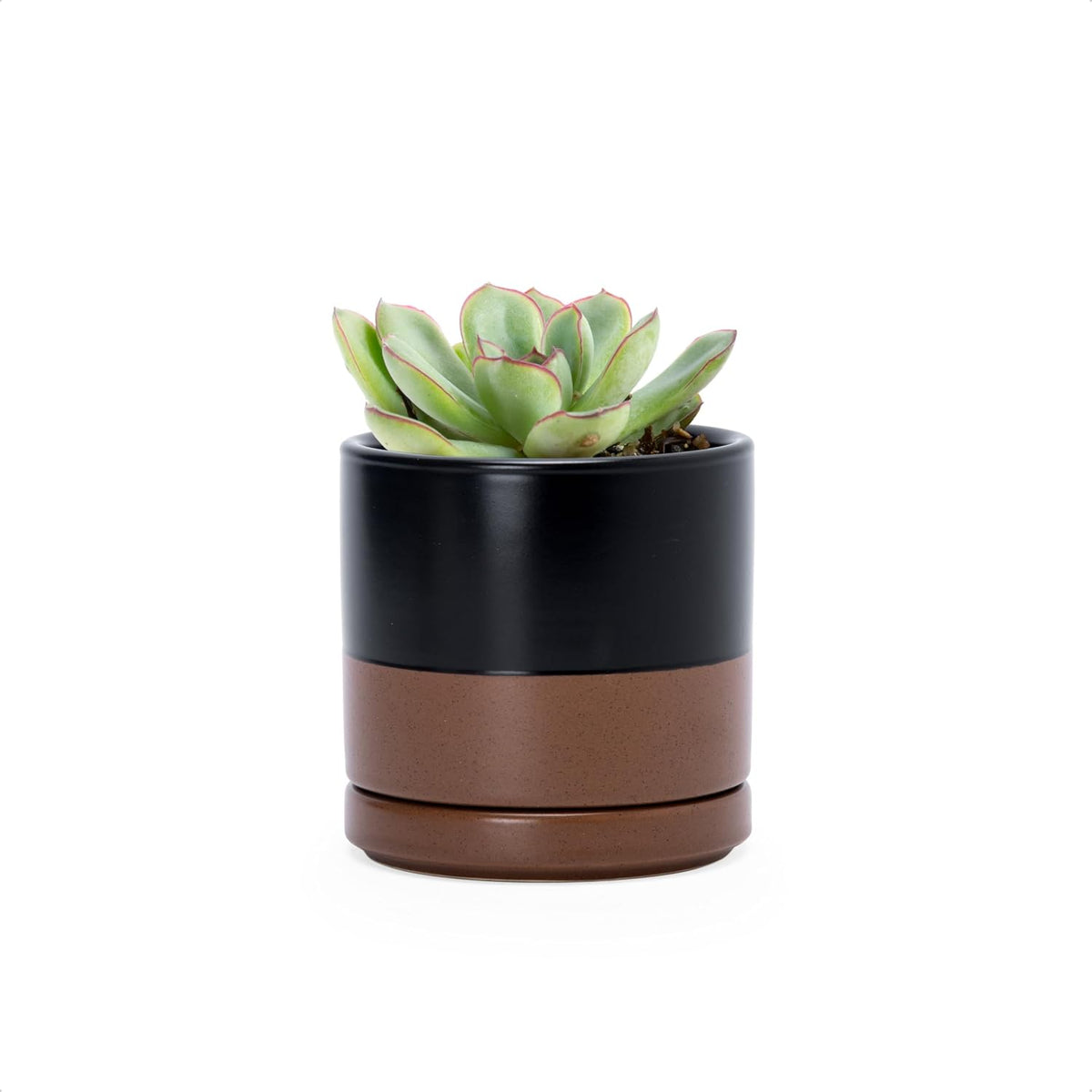 D'vine Dev 4.7 Inch Ceramic Planter Pot with Drainage Hole and Saucer, Indoor Cylinder Round Planter Pot, Teal, 94-O-B-9