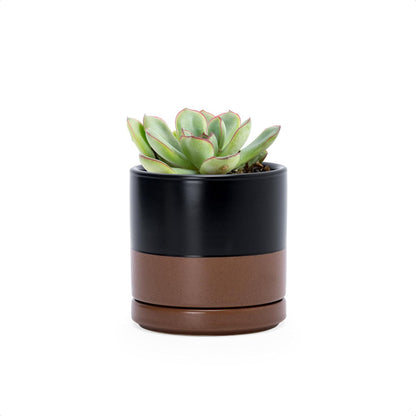 D'vine Dev 4.7 Inch Ceramic Planter Pot with Drainage Hole and Saucer, Indoor Cylinder Round Planter Pot, Teal, 94-O-B-9