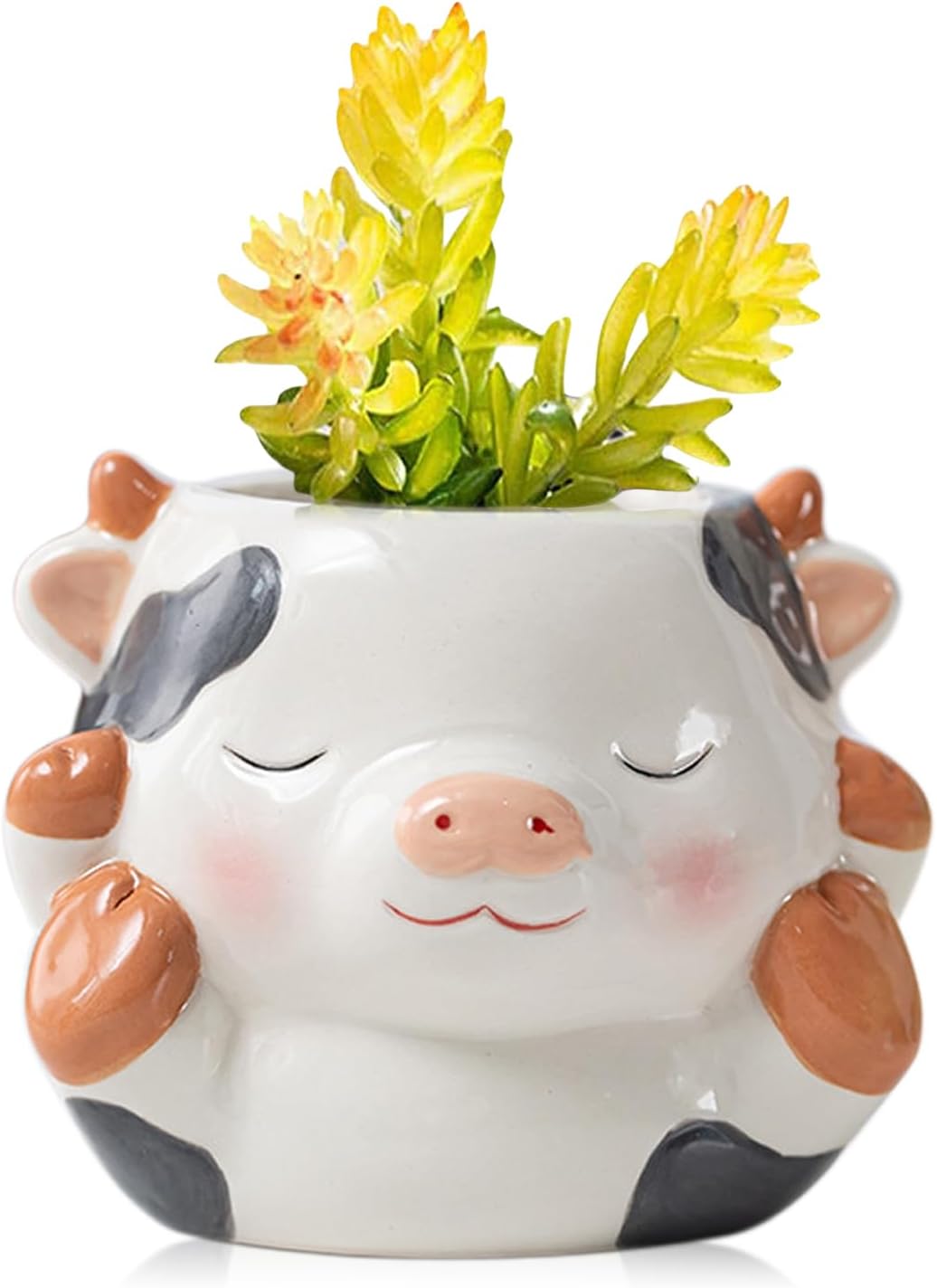 DIYOMR Cute Animals Planter, Mini Ceramic Cartoon Animal Shaped Succulent Flower Pot Indoor Air Plants Holder, Smooth Shiny Decorative Flower Cactus Planter - Plants Not Included (Panda)