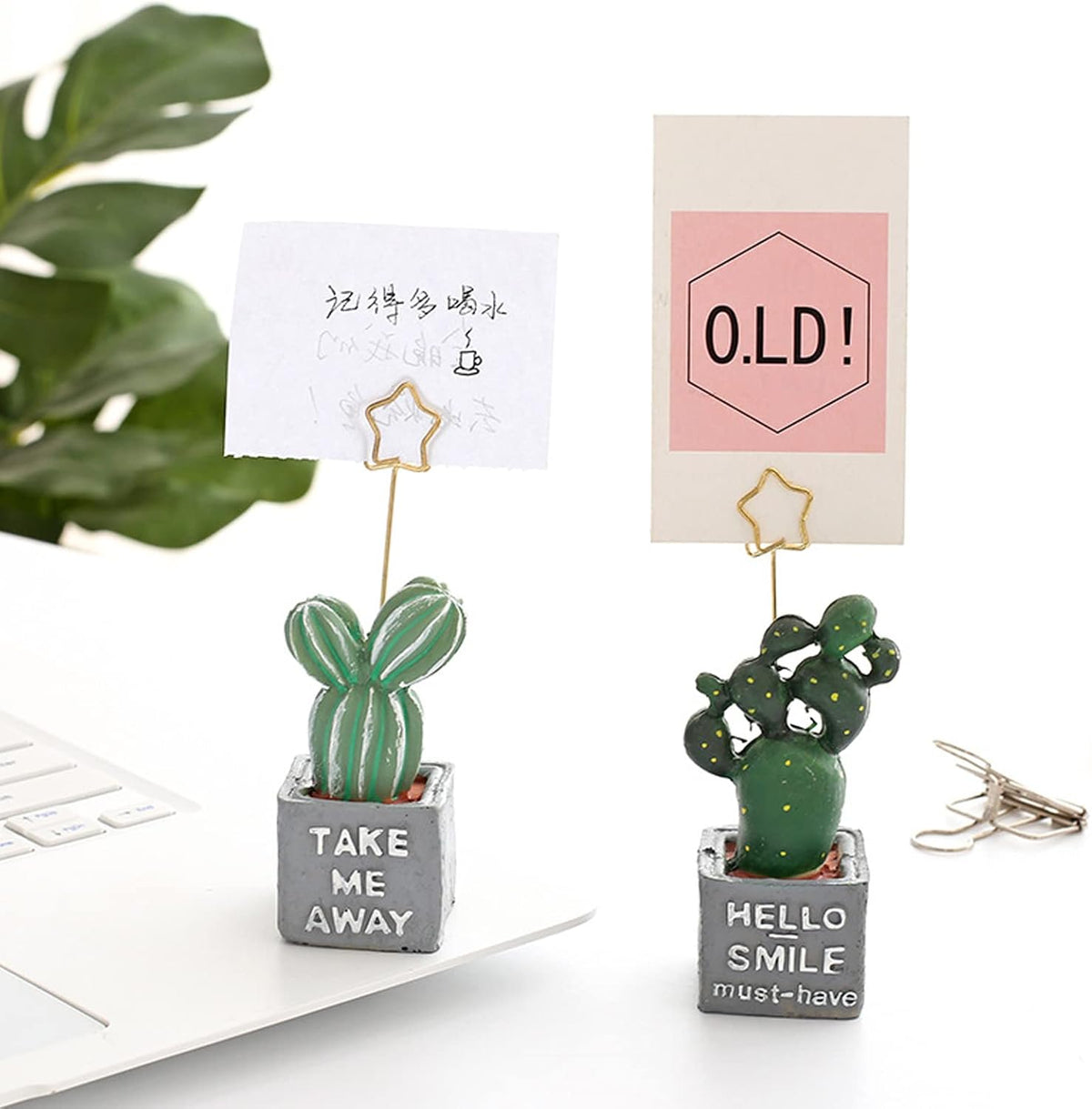 6 pcs Cute Flower Table Card Memo Holder Stand, Table Photo Display Clip Stand for Monmory Photo Picture Memo Cards Paper Note Postcards Wedding Number Card Display