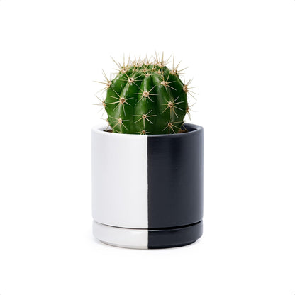 D'vine Dev 4.7 Inch Ceramic Planter Pot with Drainage Hole and Saucer, Indoor Cylinder Round Planter Pot, Teal, 94-O-B-9