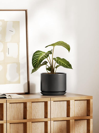 LE TAUCI Ceramic Pots for Plants, 6.8 Inch Plant Pots with Drainage Hole & Saucer, Modern Planter for Indoor Plants, Stable & Durable, Perfect for Living Room or Office Decor, White