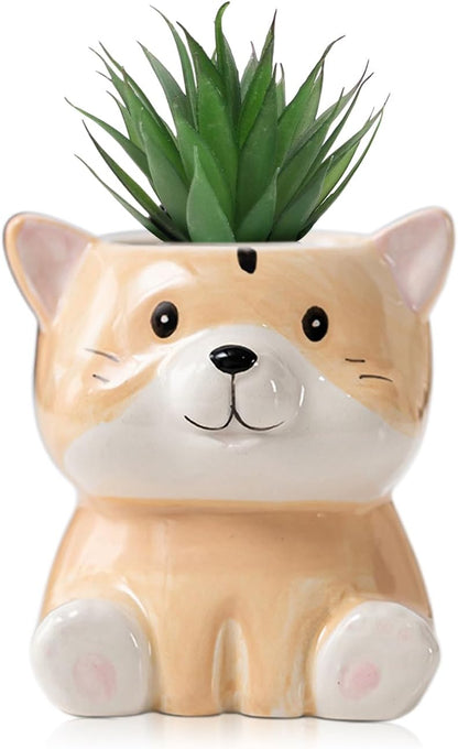 DIYOMR Cute Animals Planter, Mini Ceramic Cartoon Animal Shaped Succulent Flower Pot Indoor Air Plants Holder, Smooth Shiny Decorative Flower Cactus Planter - Plants Not Included (Panda)