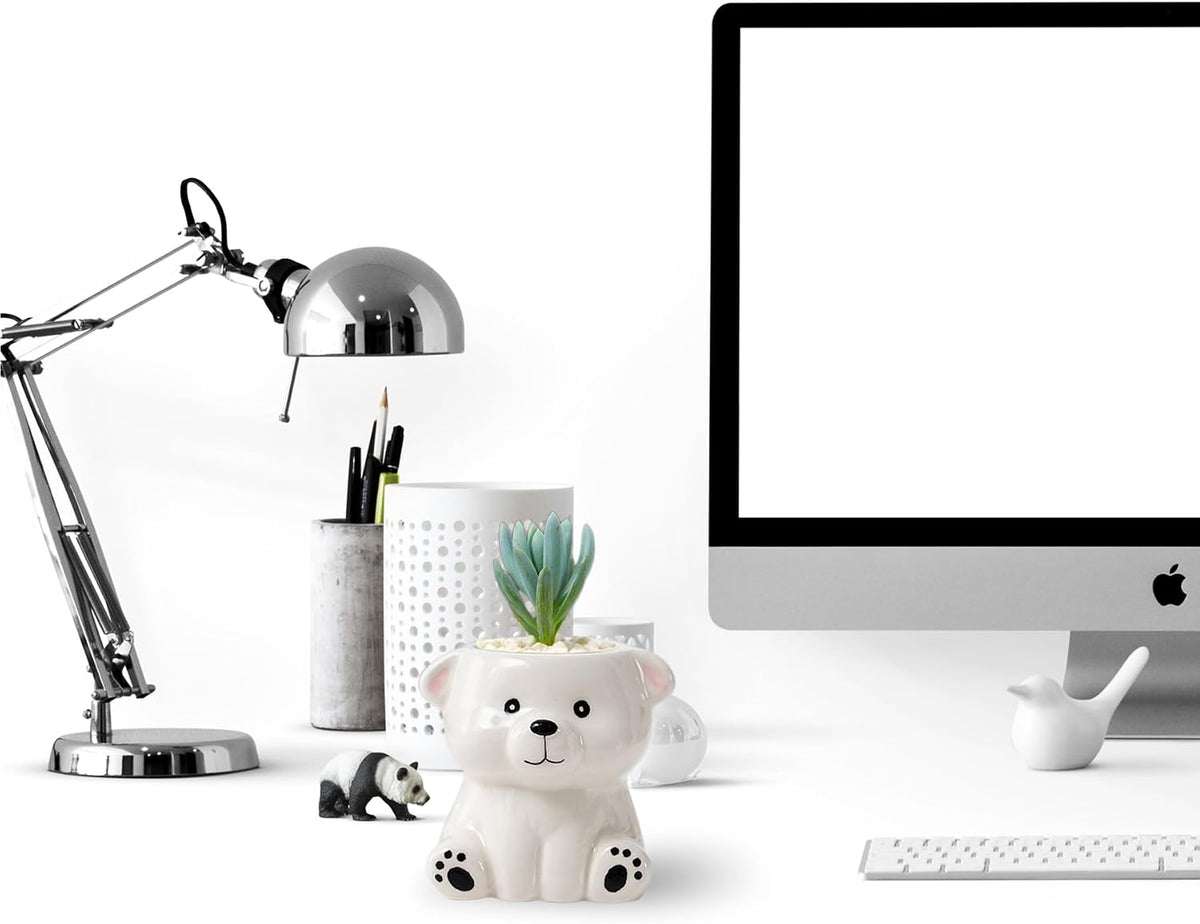 DIYOMR Cute Animals Planter, Mini Ceramic Cartoon Animal Shaped Succulent Flower Pot Indoor Air Plants Holder, Smooth Shiny Decorative Flower Cactus Planter - Plants Not Included (Panda)