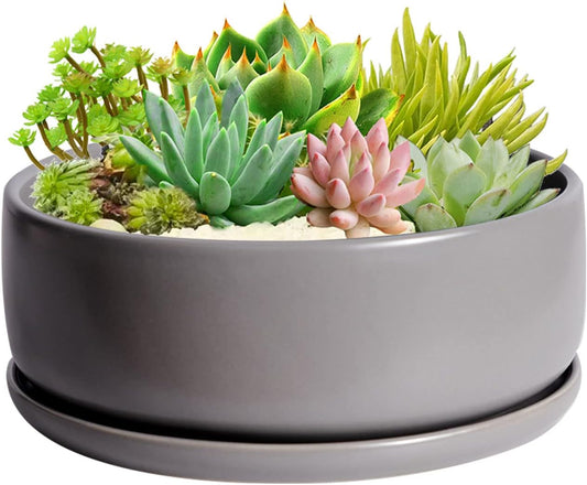 SQOWL 8 inch White Round Ceramic Succulent Planter Pot Modern Flower Cactus herb Big Planter with Removable Saucer Indoor or Outdoor