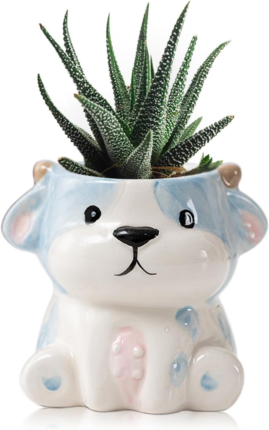 DIYOMR Cute Animals Planter, Mini Ceramic Cartoon Animal Shaped Succulent Flower Pot Indoor Air Plants Holder, Smooth Shiny Decorative Flower Cactus Planter - Plants Not Included (Panda)