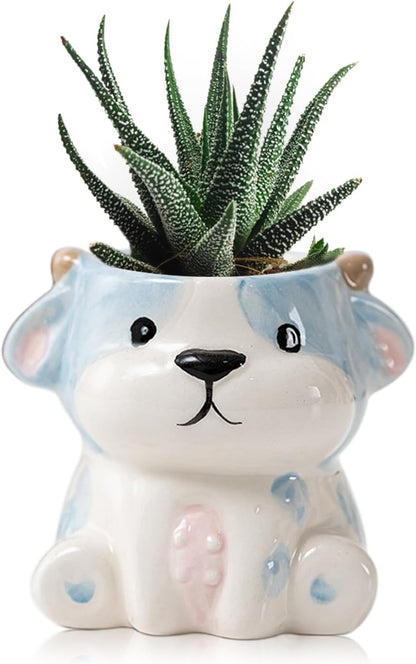 DIYOMR Cute Animals Planter, Mini Ceramic Cartoon Animal Shaped Succulent Flower Pot Indoor Air Plants Holder, Smooth Shiny Decorative Flower Cactus Planter - Plants Not Included (Panda)