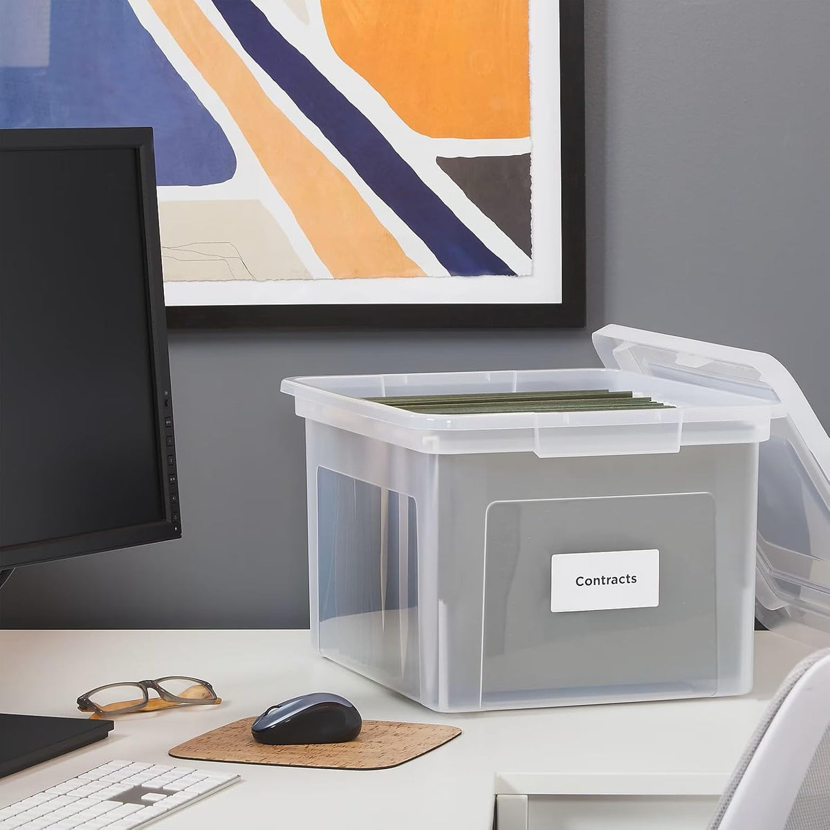 Hanging File Folder Box, Storage Bin Organizer, Snap Lid, Clear