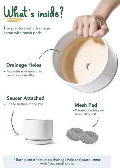 LE TAUCI Ceramic Pots for Plants, 6.8 Inch Plant Pots with Drainage Hole & Saucer, Modern Planter for Indoor Plants, Stable & Durable, Perfect for Living Room or Office Decor, White