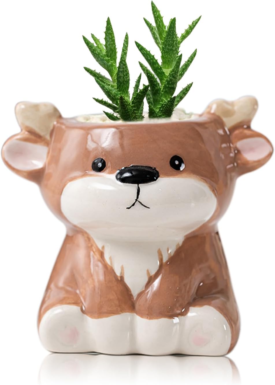 DIYOMR Cute Animals Planter, Mini Ceramic Cartoon Animal Shaped Succulent Flower Pot Indoor Air Plants Holder, Smooth Shiny Decorative Flower Cactus Planter - Plants Not Included (Panda)