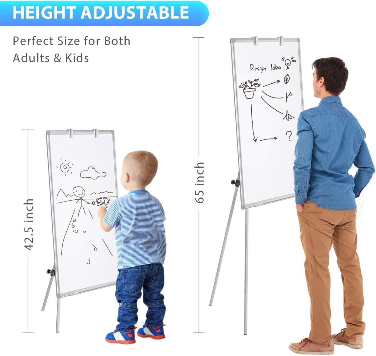 Easel Whiteboard 36 x 24 in, Stand Tripod with Height Adjustable