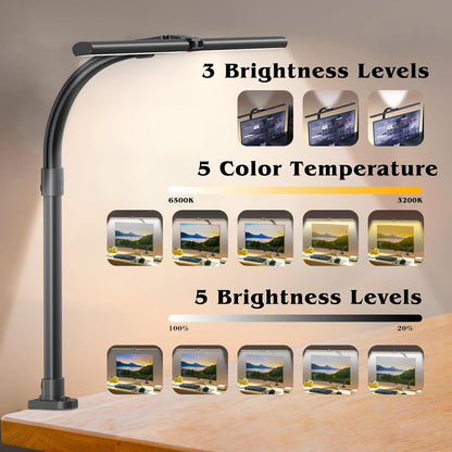 LED Desk Lamp for Home Office, Double Head 24W with Base, Architect Light 5 Lighting Brightness Flexible Gooseneck Table Reading Study, Black
