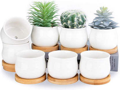 Succulent Plant Pot, White Mini 2.6 inch Ceramic Flower Planter Pot with Bamboo Tray, Pack of 8 - Plants Not Included
