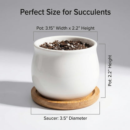 Succulent Plant Pot, White Mini 2.6 inch Ceramic Flower Planter Pot with Bamboo Tray, Pack of 8 - Plants Not Included