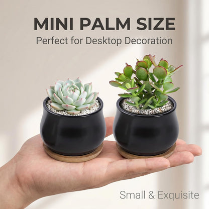 Succulent Plant Pot, White Mini 2.6 inch Ceramic Flower Planter Pot with Bamboo Tray, Pack of 8 - Plants Not Included