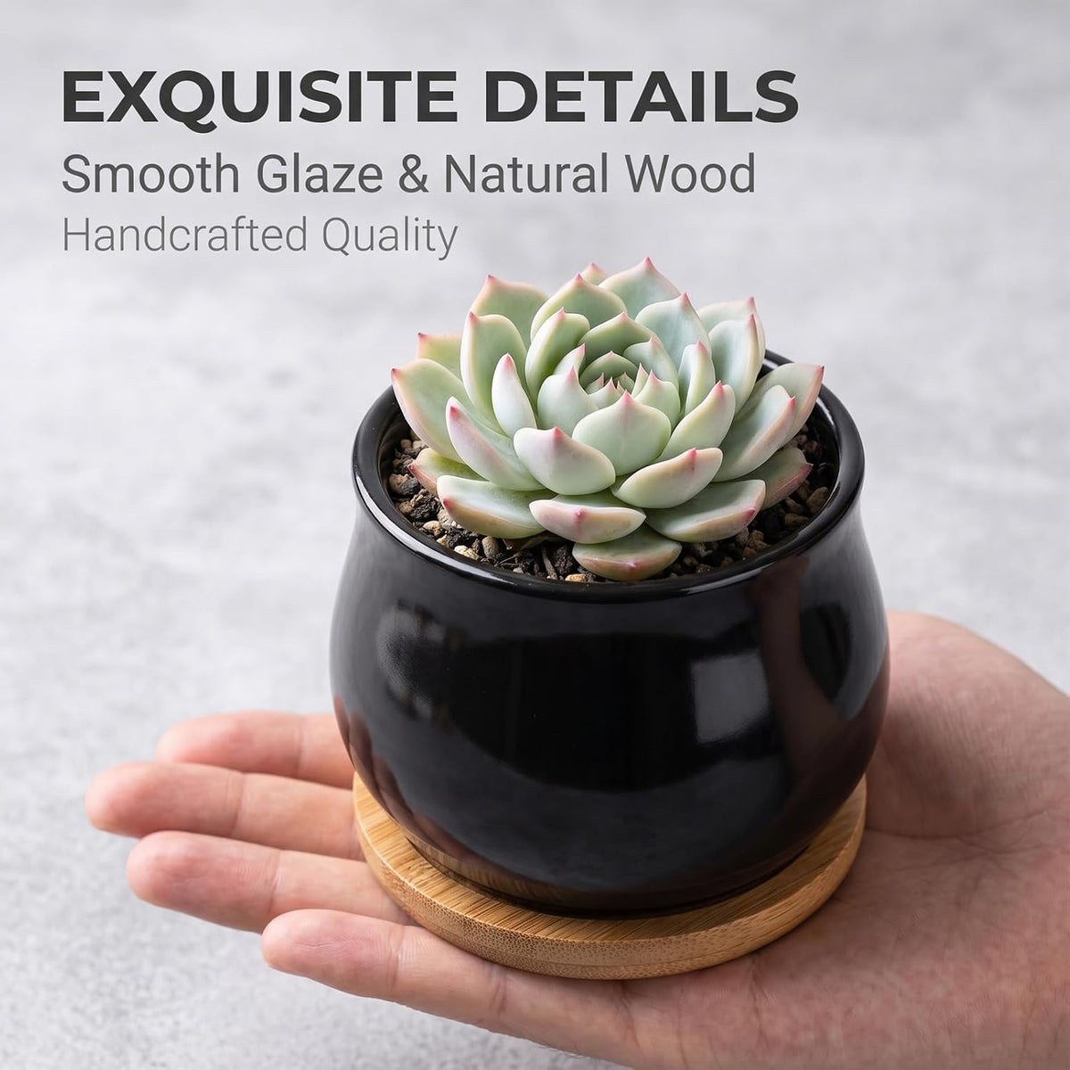 Succulent Plant Pot, White Mini 2.6 inch Ceramic Flower Planter Pot with Bamboo Tray, Pack of 8 - Plants Not Included