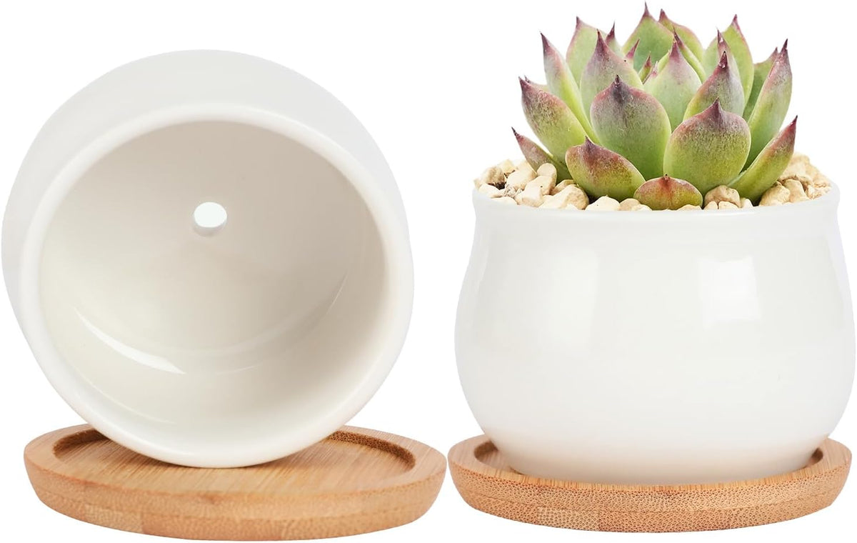 Succulent Plant Pot, White Mini 2.6 inch Ceramic Flower Planter Pot with Bamboo Tray, Pack of 8 - Plants Not Included
