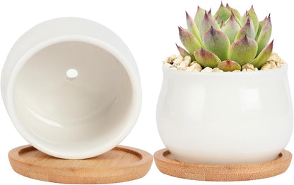 Succulent Plant Pot, White Mini 2.6 inch Ceramic Flower Planter Pot with Bamboo Tray, Pack of 8 - Plants Not Included
