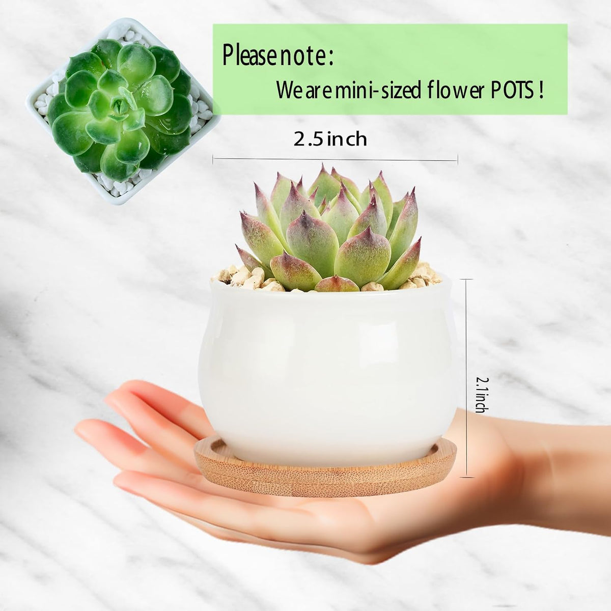Succulent Plant Pot, White Mini 2.6 inch Ceramic Flower Planter Pot with Bamboo Tray, Pack of 8 - Plants Not Included